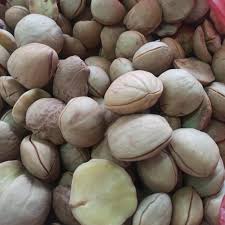 Jengkol 500gr
