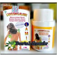 LANGSING ALAMI