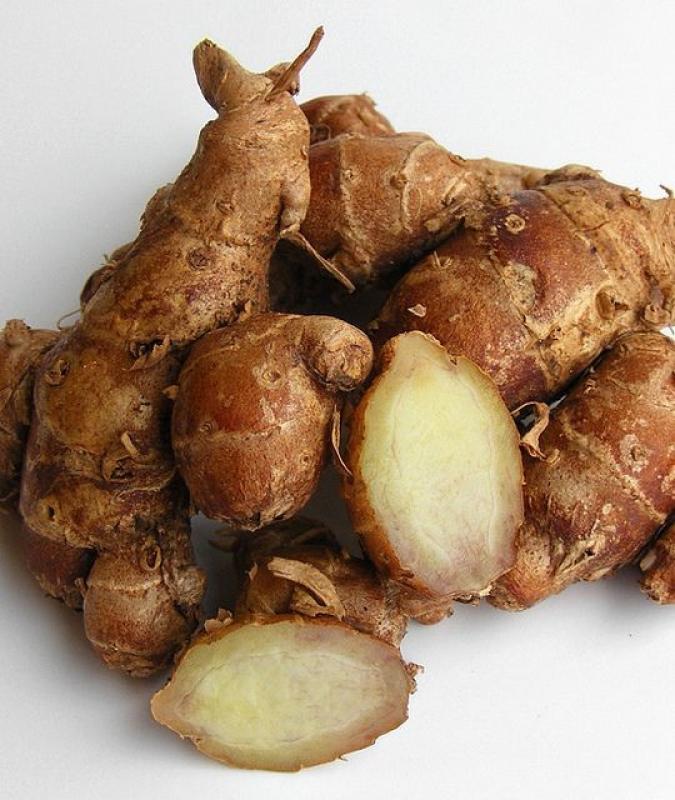 kencur fress 200 g
