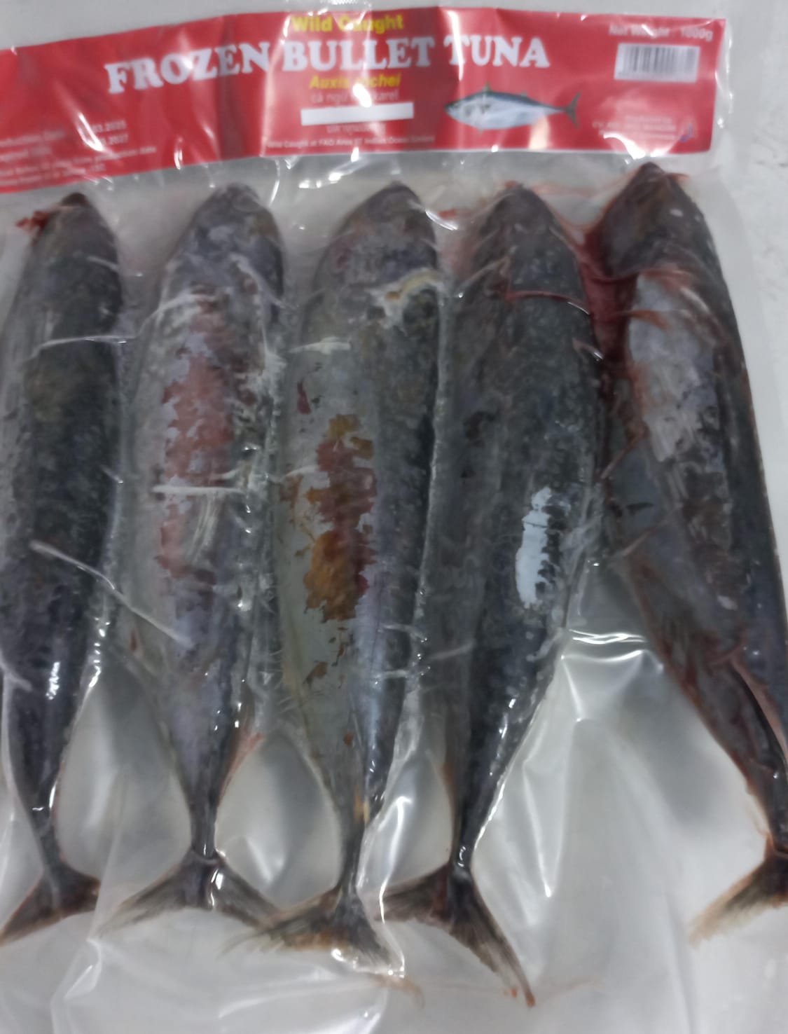 Tongkol Besar 1kg frozen bullet tuna