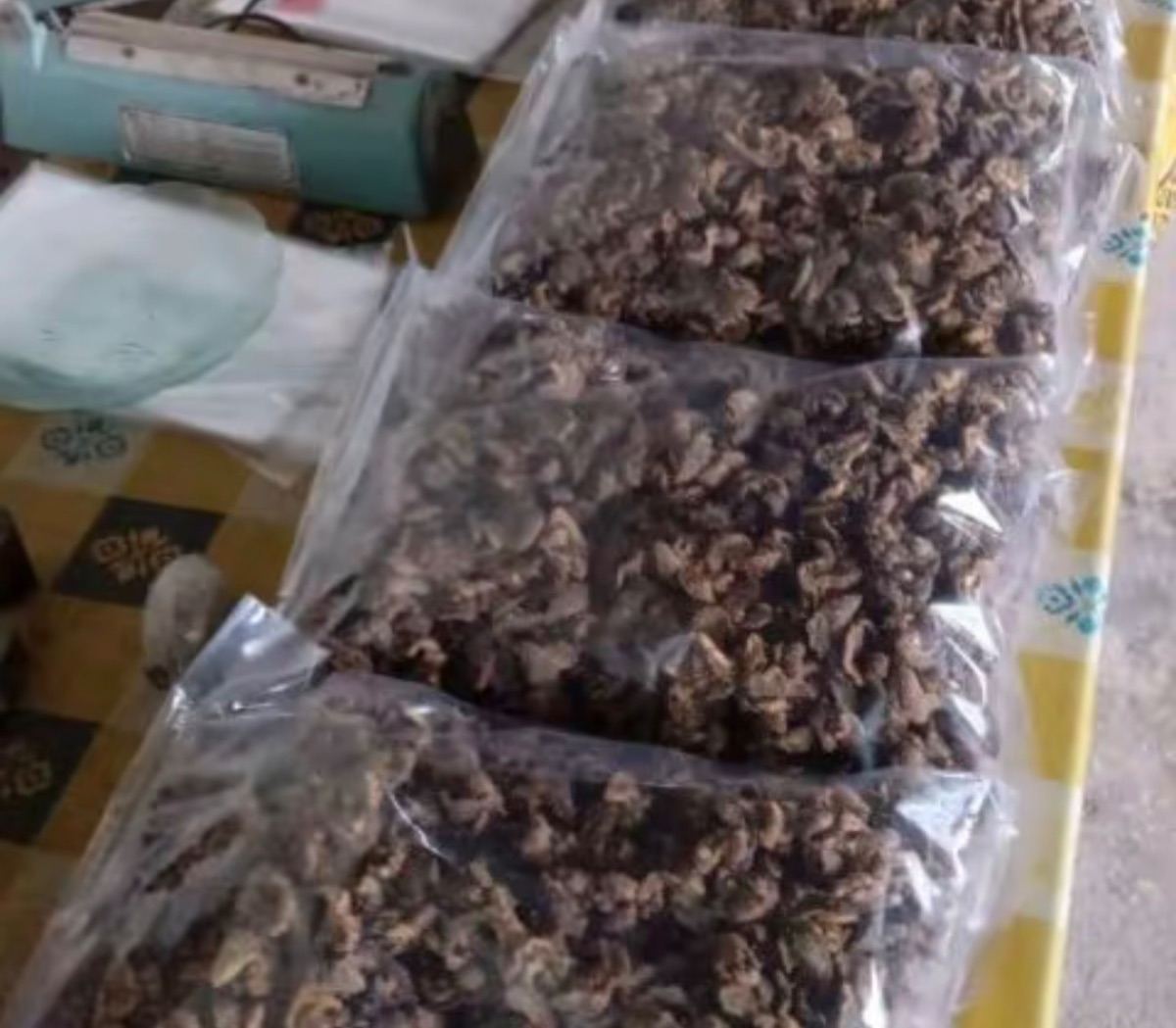 Bekicot kering 250g